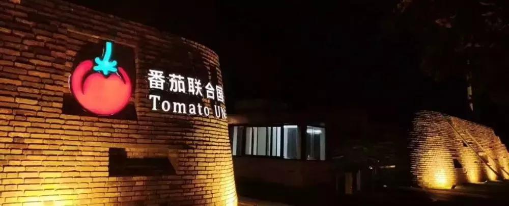 番茄如何赚钱,如何打造一个100亩盈利的农庄