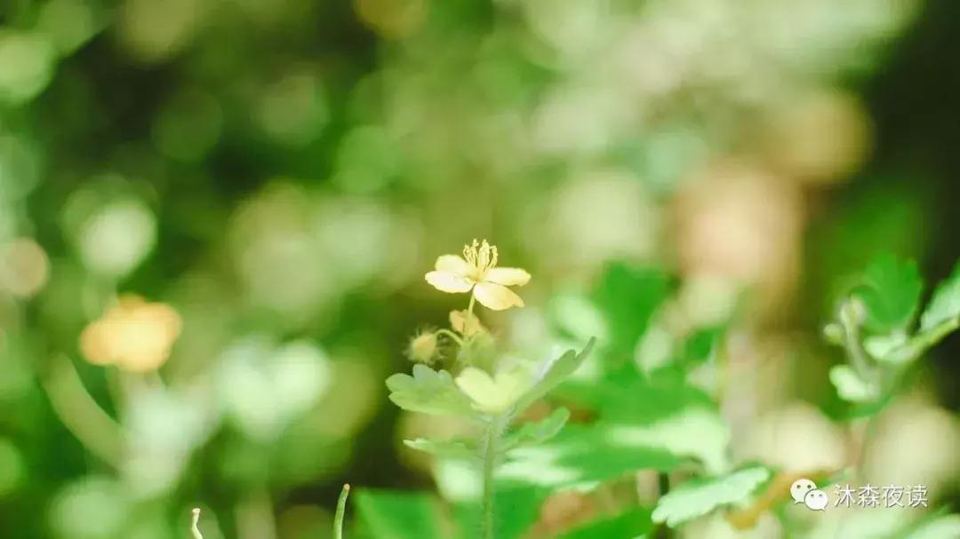 怎么才能知道男生喜不喜欢自己,如何知道ta喜不喜欢你