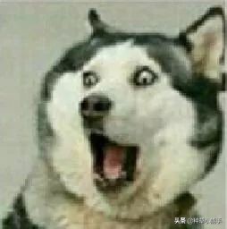 平价lamer,100块lamer套装