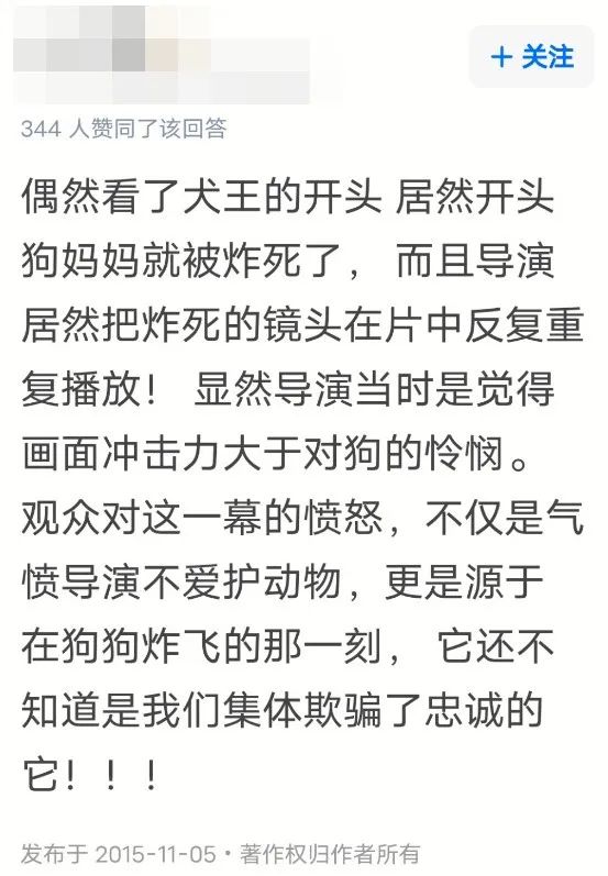 功勋军犬为拍戏被炸死片段,为了电影而被炸成碎片的军犬