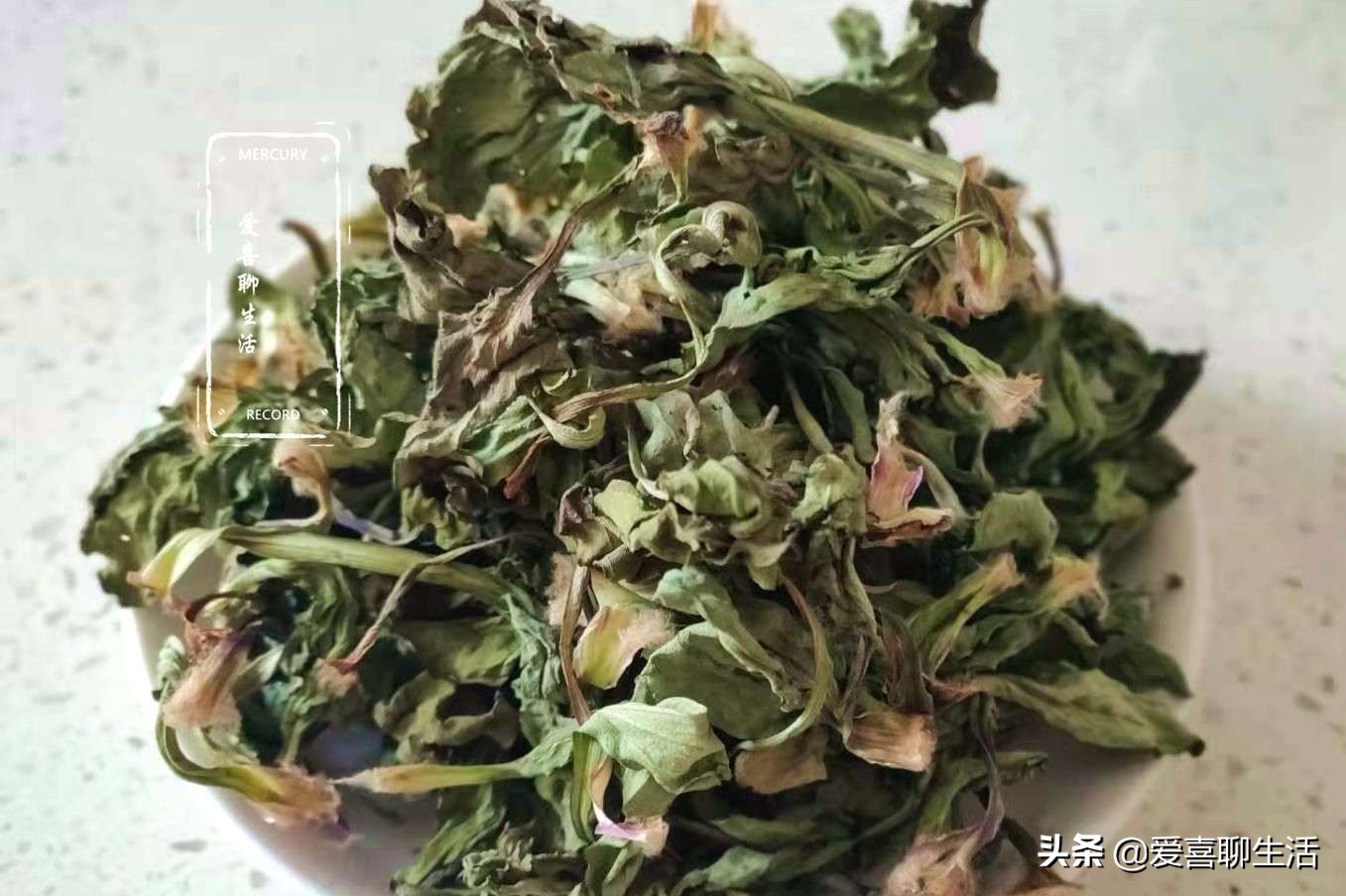车前草新鲜,哪个季节的车前草泡水喝最好
