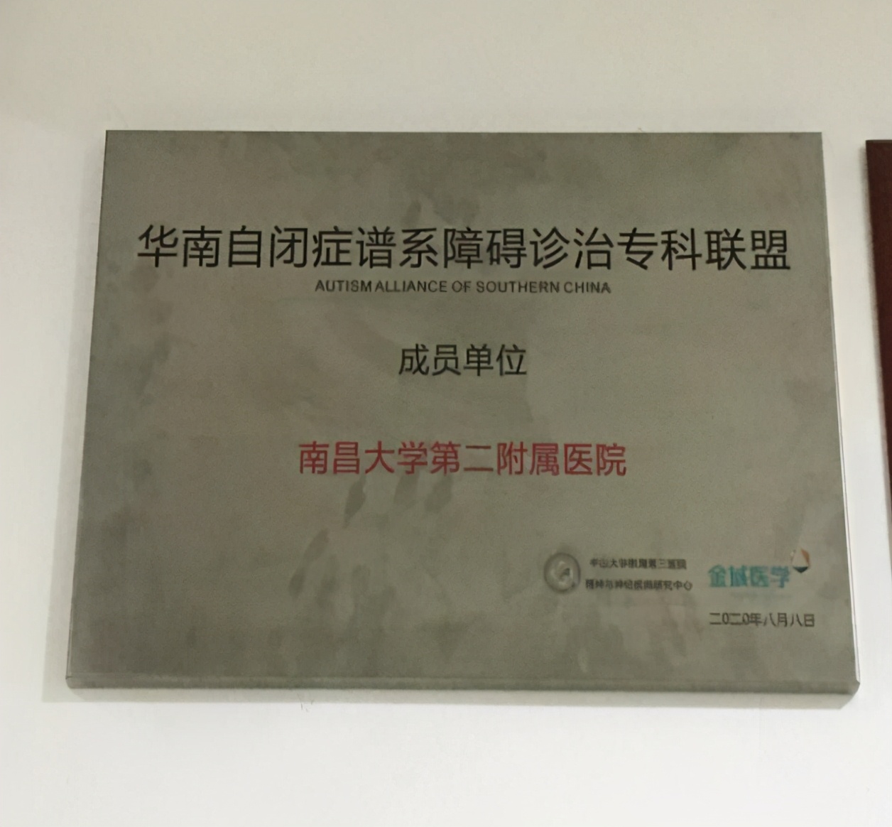 关爱自闭症儿童义诊,自闭症儿童义诊视频