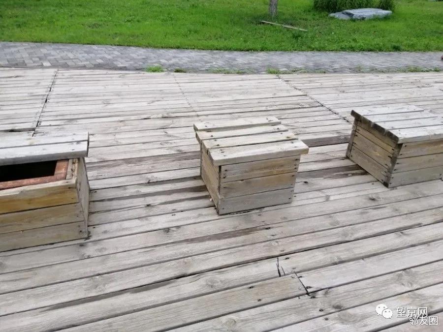 「今日望京」望湖公园这里太危险！望京小街最新实拍来了