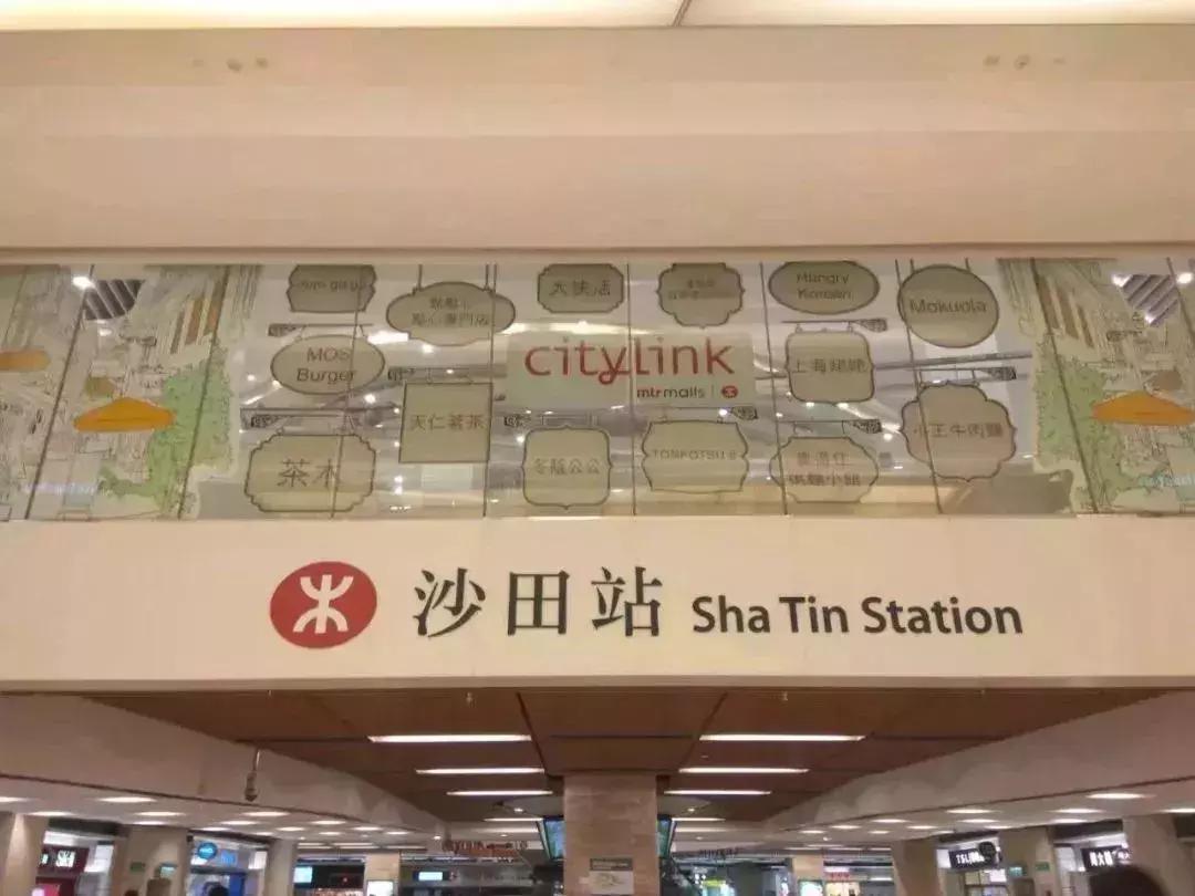 香港扫货旅游攻略,香港年货扫码攻略视频