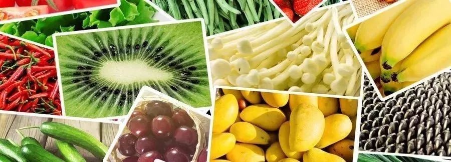 移植后的14天，你还打算一直躺着吗？