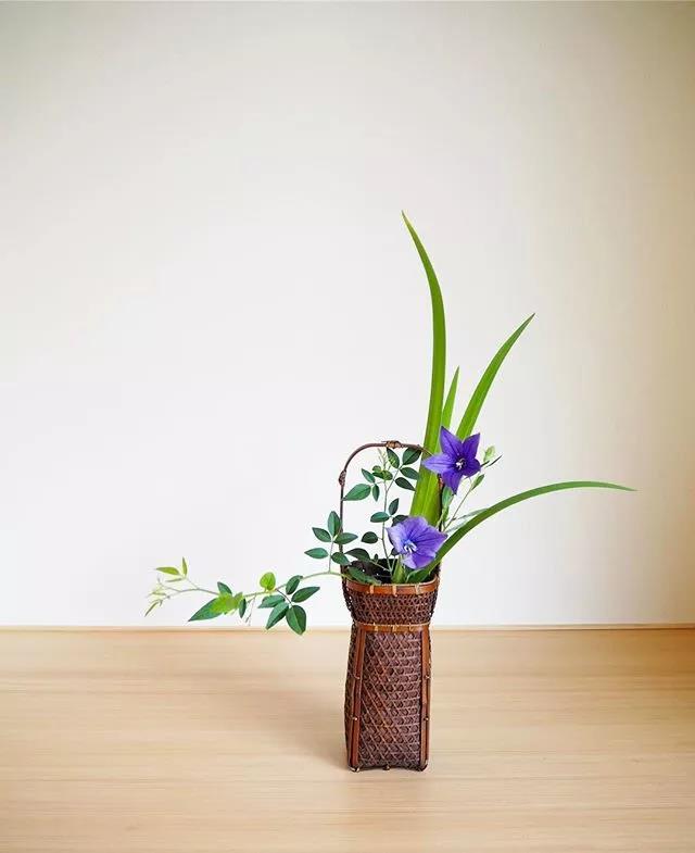 一花一世界一叶一菩提本来无一物,一花一世界一叶一菩提一场梦