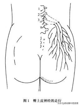 膝关节增生疼痛偏方,四神煎治膝关节疼痛