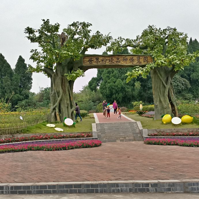 安岳柠檬小镇宝森收门票不,安岳宝森柠檬小镇门票