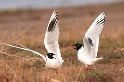 辽宁旅游景点推荐3天自由行,辽宁学生旅游景点推荐