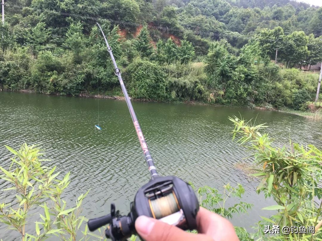 路亚黑鱼雷蛙与主线的连接方法,路亚钓黑鱼雷蛙的方法与技巧