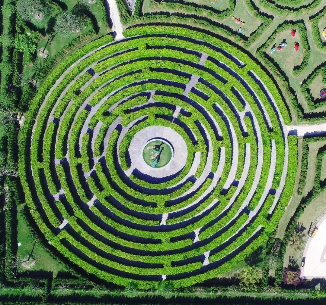 空港花田今天收门票吗,空港花田19.9门票