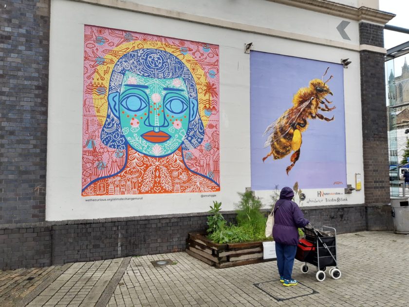 鎽╂墭缃楁媺onevision鎬绘垚,motorola娣卞害娴嬭瘎