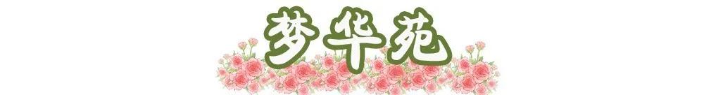 南京溧水千亩玫瑰,南京玫瑰园千亩花海迎来盛花期