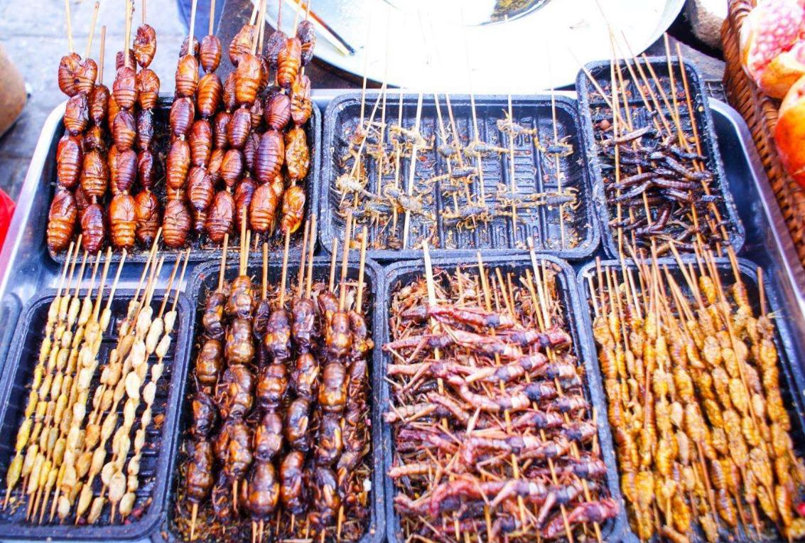 带大家了解一下昆虫美食,国外很火的4种美食昆虫你敢吃吗