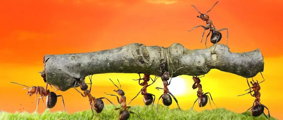 坤鹏论选股方法,坤鹏论财经