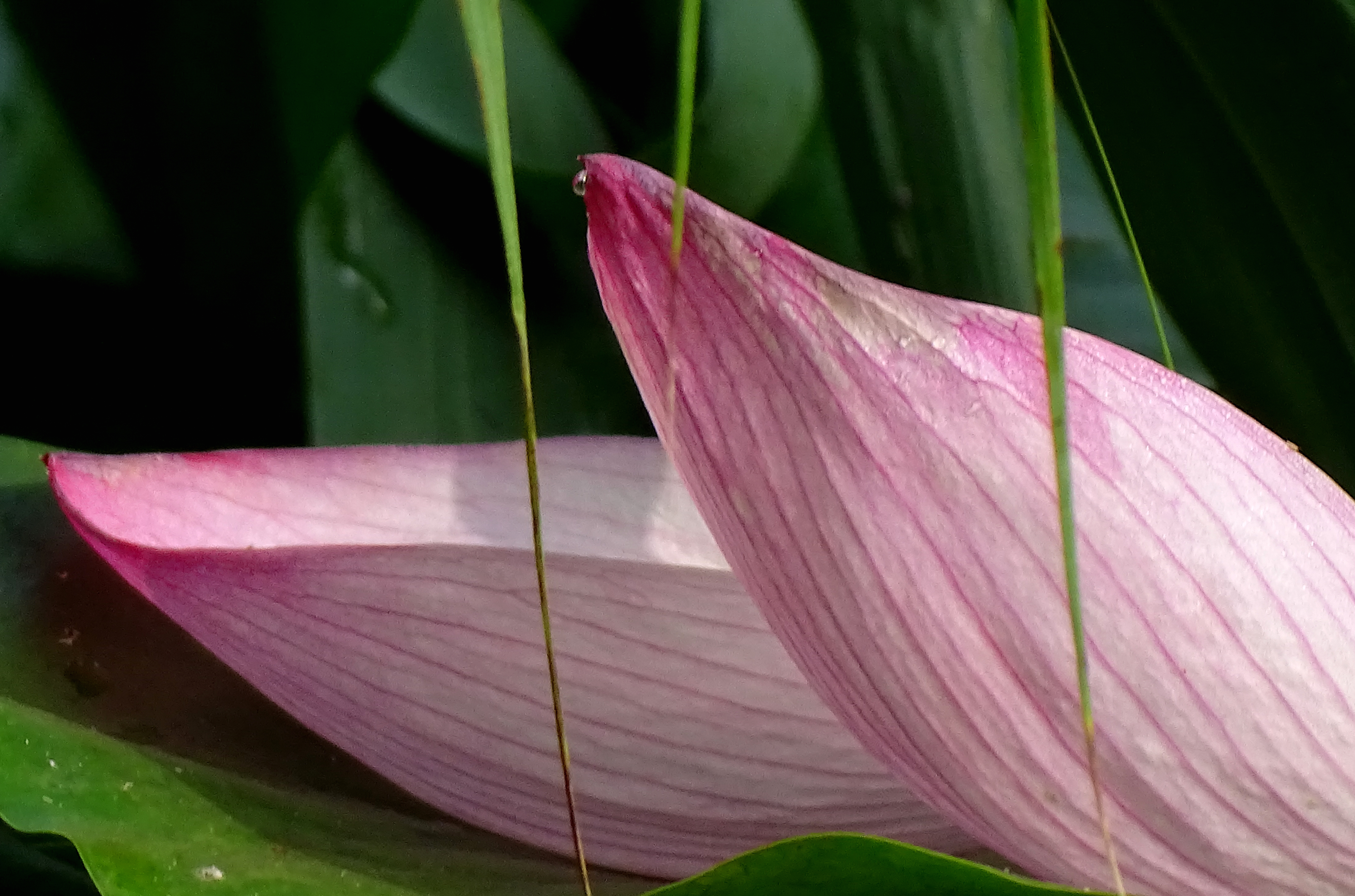 索尼dsc-hx400拍飞机效果,索尼dsc-hx400照片调色