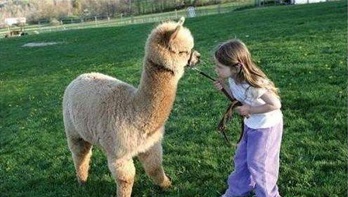 今天我们来聊聊英语的英文,今天我们来聊一聊