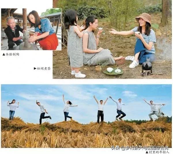 农学院对乡村振兴的促进作用,半农学院