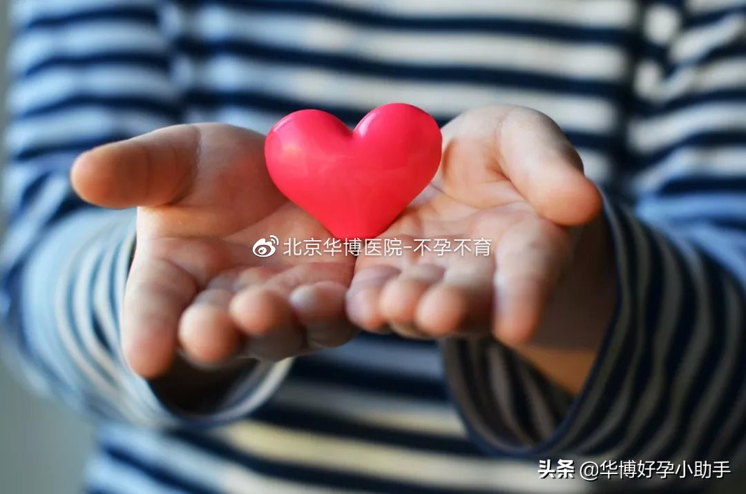 夏天备孕的技巧,夏季备孕方法