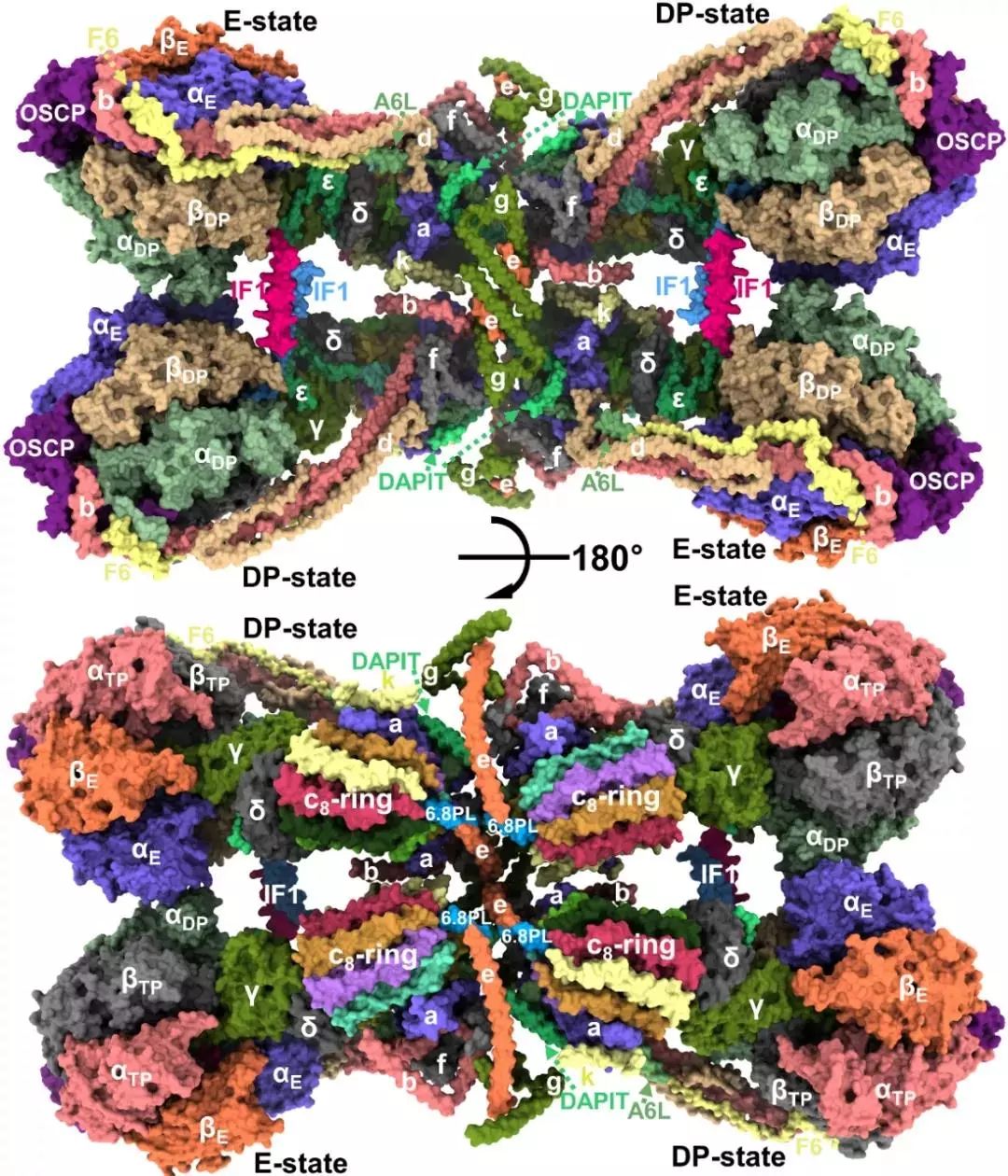 中国冷冻电镜技术进展,冷冻电镜最新研究