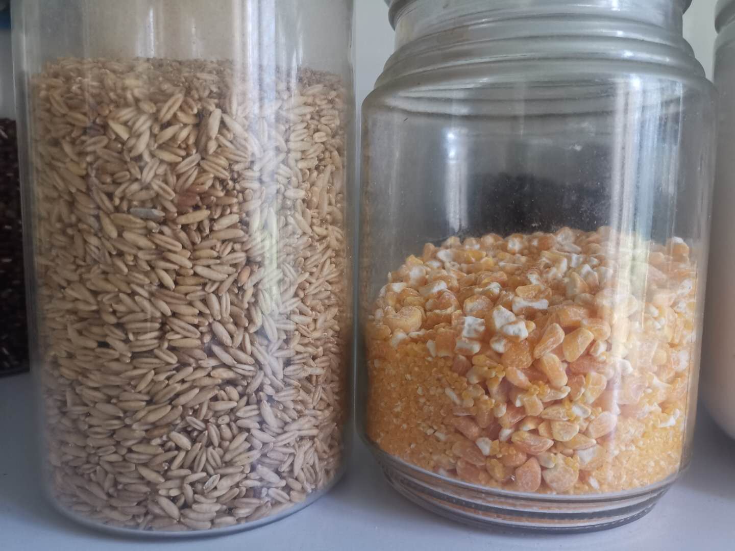 五谷类的粗粮,五谷杂粮粗粮食品