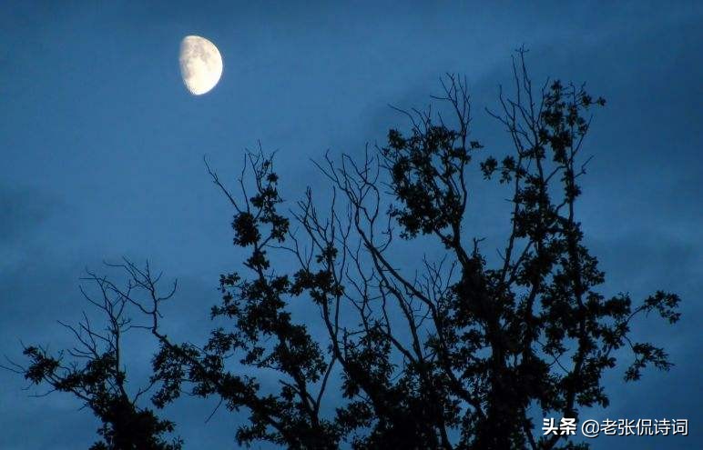 唐人写月亮却无一“月”字，倒用了3个“圆”，句句都是月亮之思