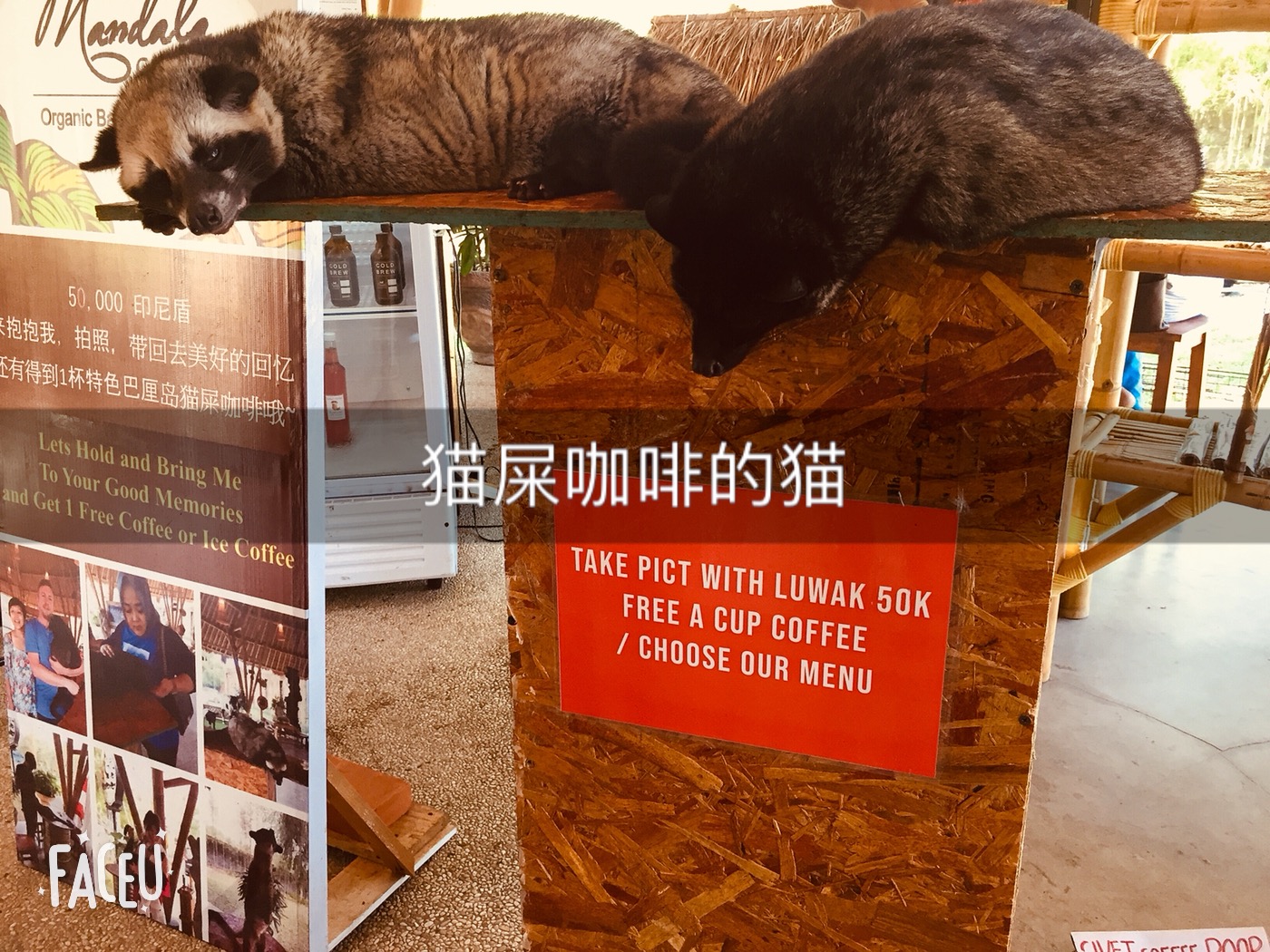 巴厘岛海神庙攻略,巴厘岛游玩攻略