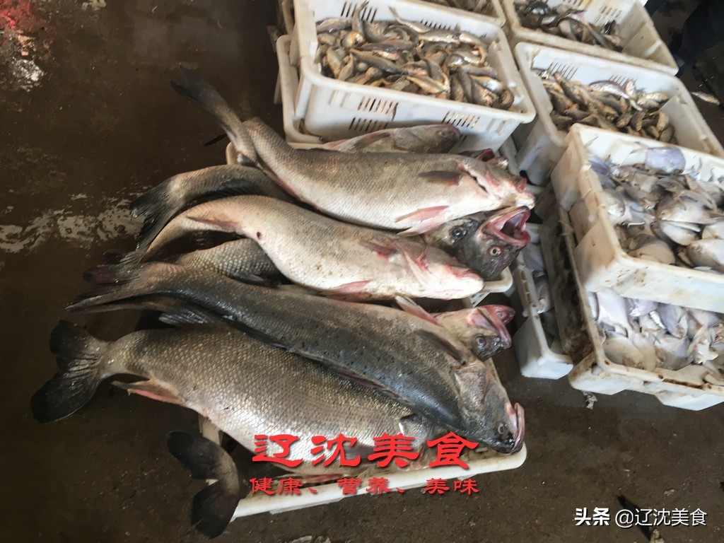 滨海海鲜批发市场营业时间,辽宁海边码头批发海鲜市场