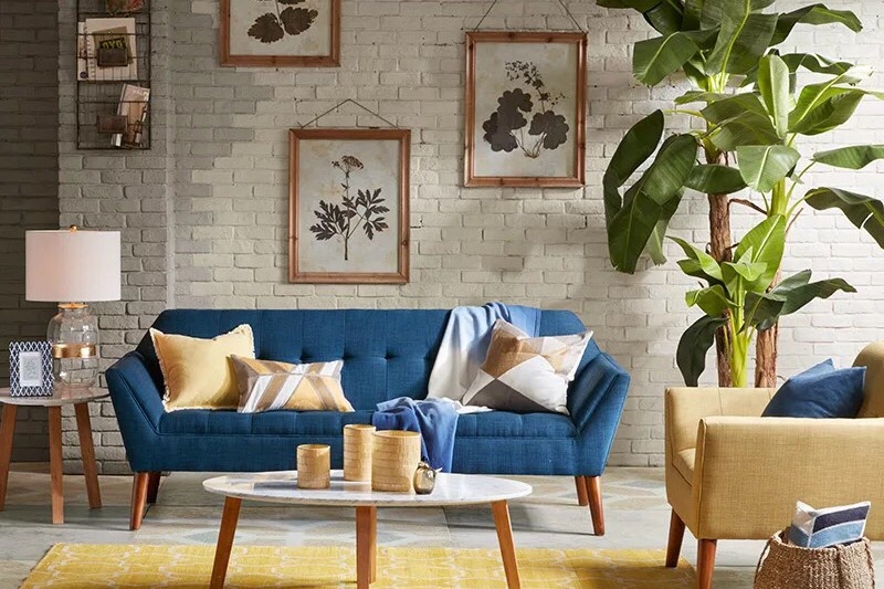 放一屋子绿植除甲醛有用吗,多放绿植可以除甲醛吗