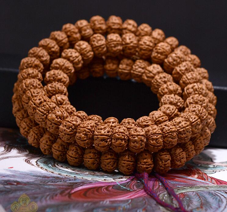 小金刚菩提中的极品,小金刚菩提果实