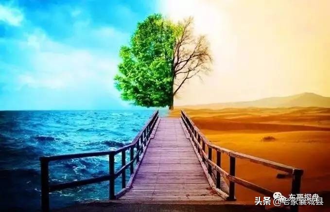 郑州南龙湖学校片区,郑州南龙湖高校区域