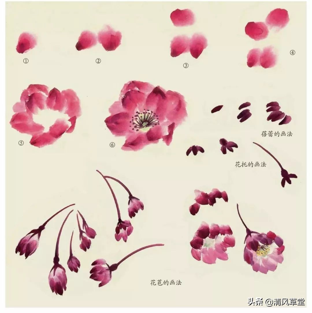 少儿国画花卉画法视频,各种花卉的100种画法