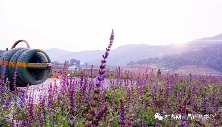 南昌现代庄园别墅,滨江庄园南昌