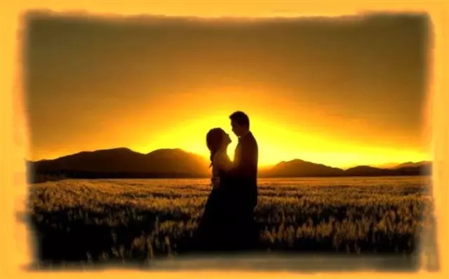 长尾巴黑灰色鸟类图片,长尾巴黑灰相间的猫