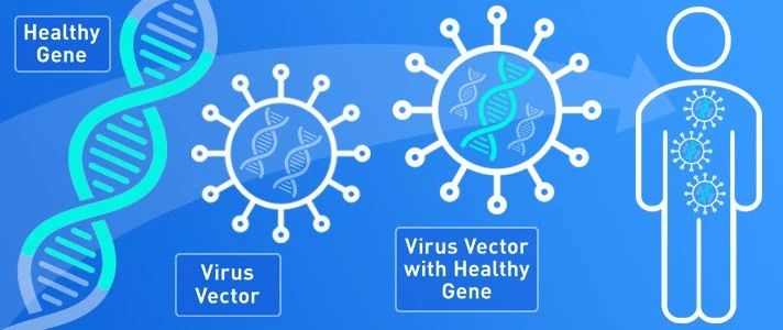 中国基因治疗发展概况,中国基因治疗发展