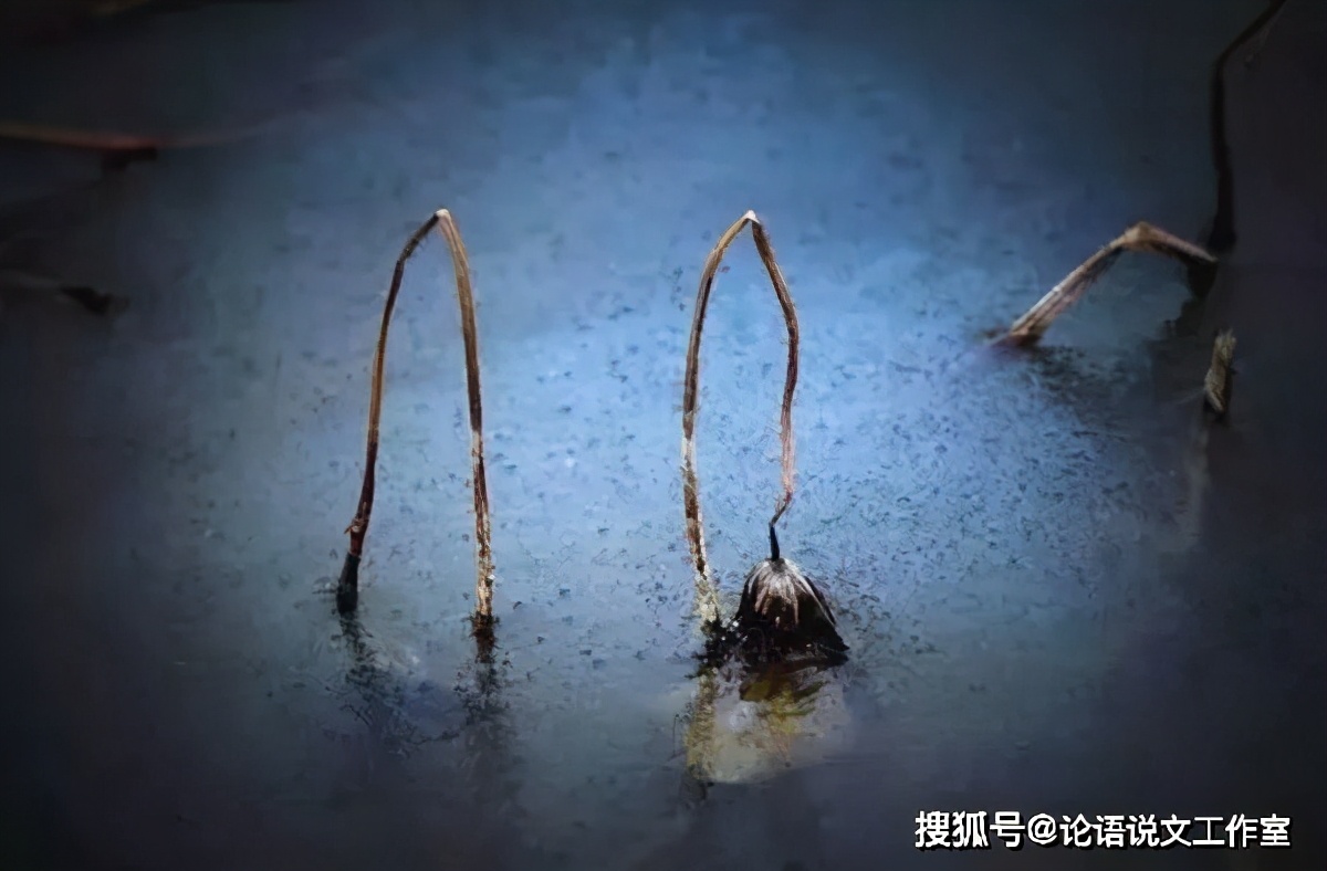 二十四节气之立冬的来历和风俗,二十四节气漫话立冬