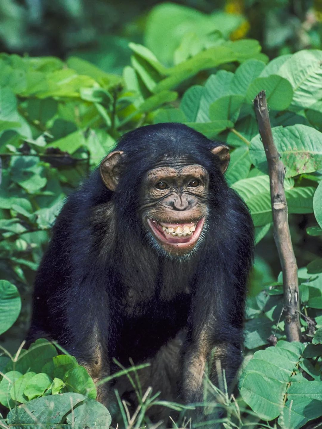 感染病毒后的168小时,你的体内都发生了什么?