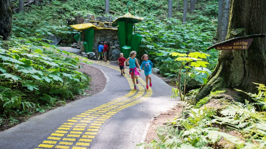 加拿大童话梦想！隐藏八百年前森林中，百万游客，老板：我不玩了