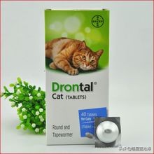 幼猫养护知识大全,幼猫驱虫的注意事项