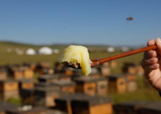 蜂王胎和蜂王浆哪个更适合女性吃,蜂王浆好还是蜂王胎冻干片好