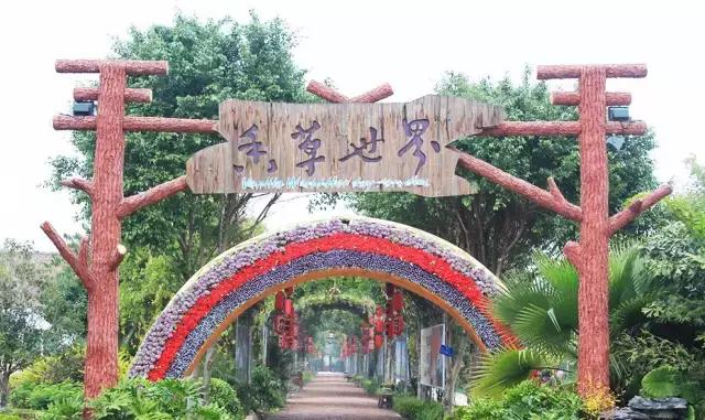 广州比较适合年轻人去的地方,广州最适合年轻人去的地方