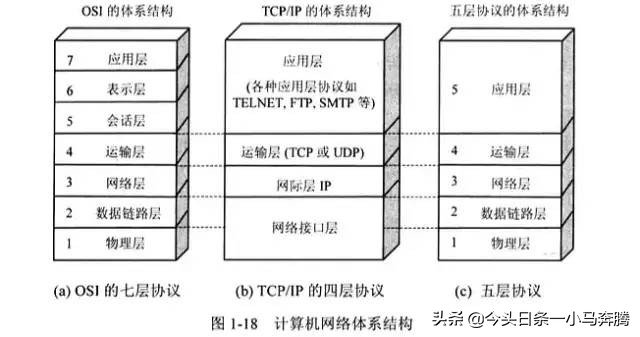 0基础学网络,计算机网络基础