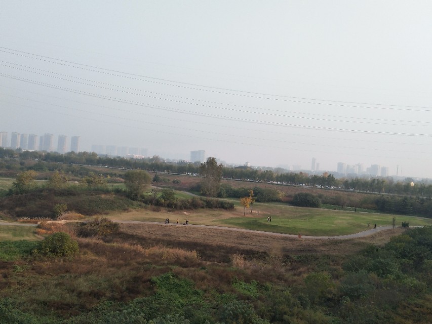 西安渭河风景,西安渭河草滩