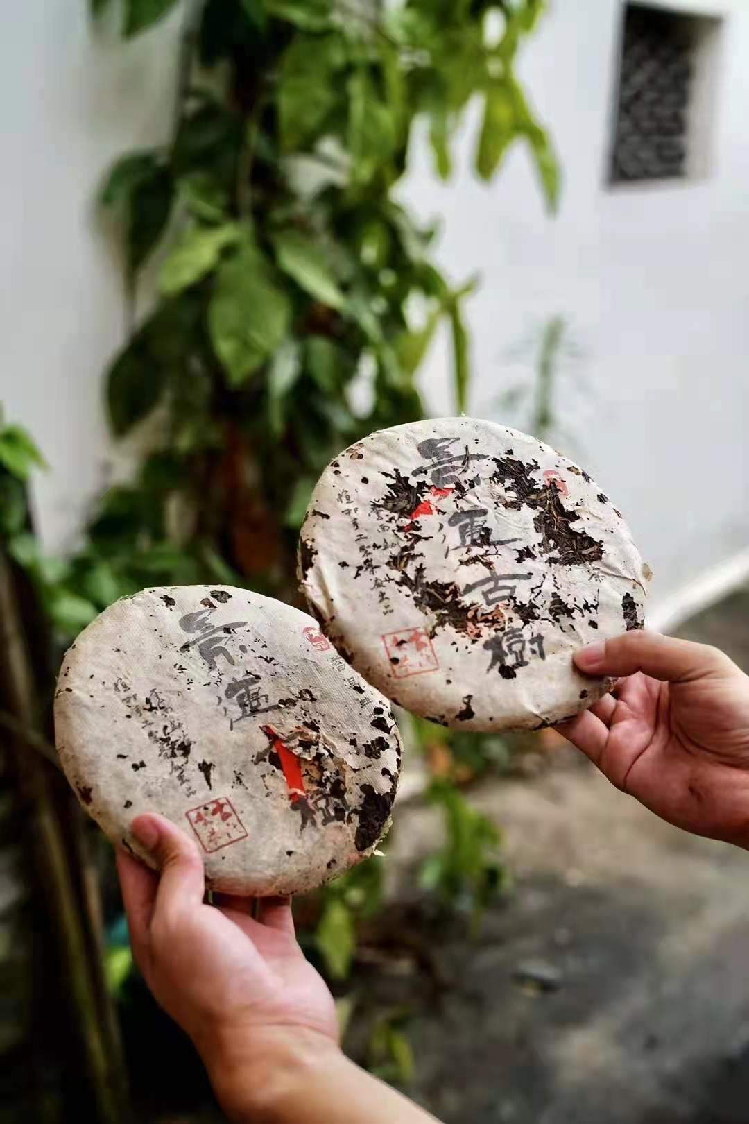 云南十大古树茶排名,云南龙聘号古树茶2012年