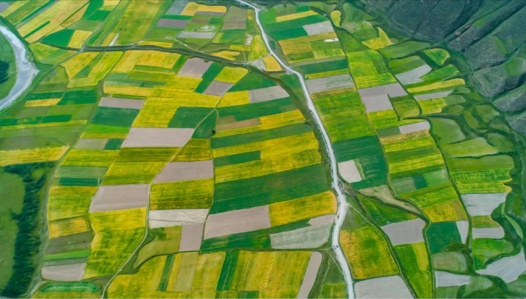 情歌故乡，格萨尔王故里，不去*藏西**就去梦中的香巴拉