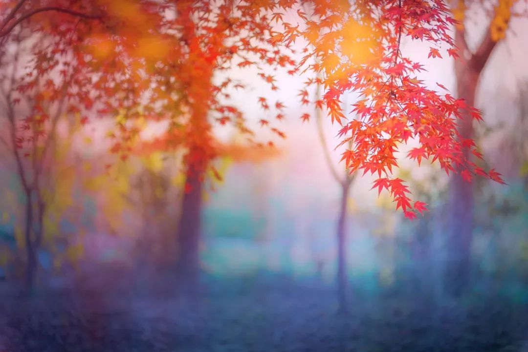 孔子诞辰2573年,孔子诞辰2570周年完整视频