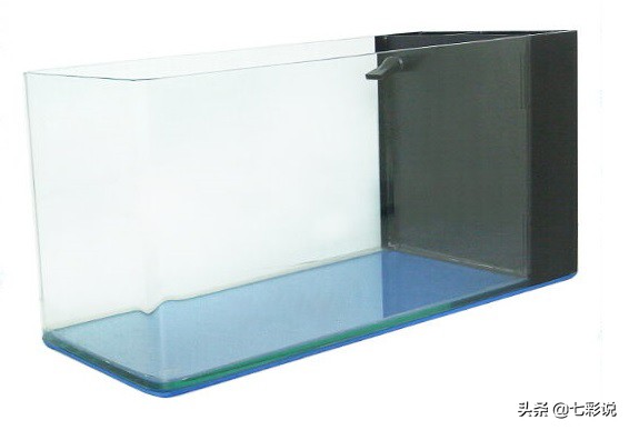 鱼缸过滤侧滤底滤哪种好,底滤鱼缸背滤