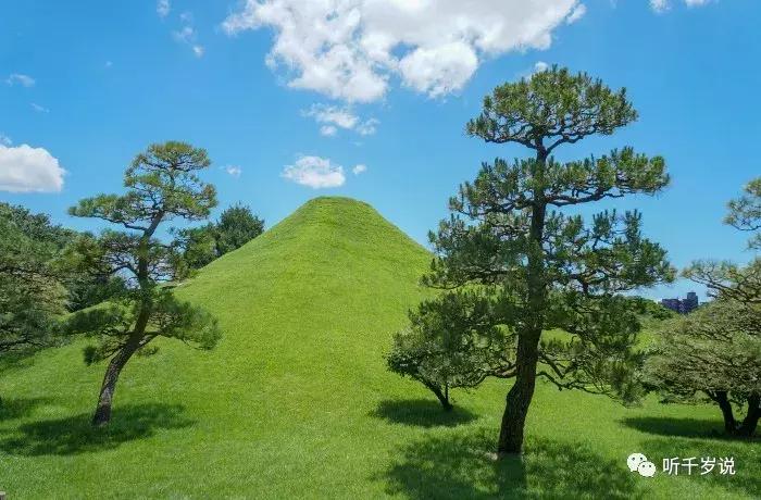 日本东京熊本熊,日本熊本游