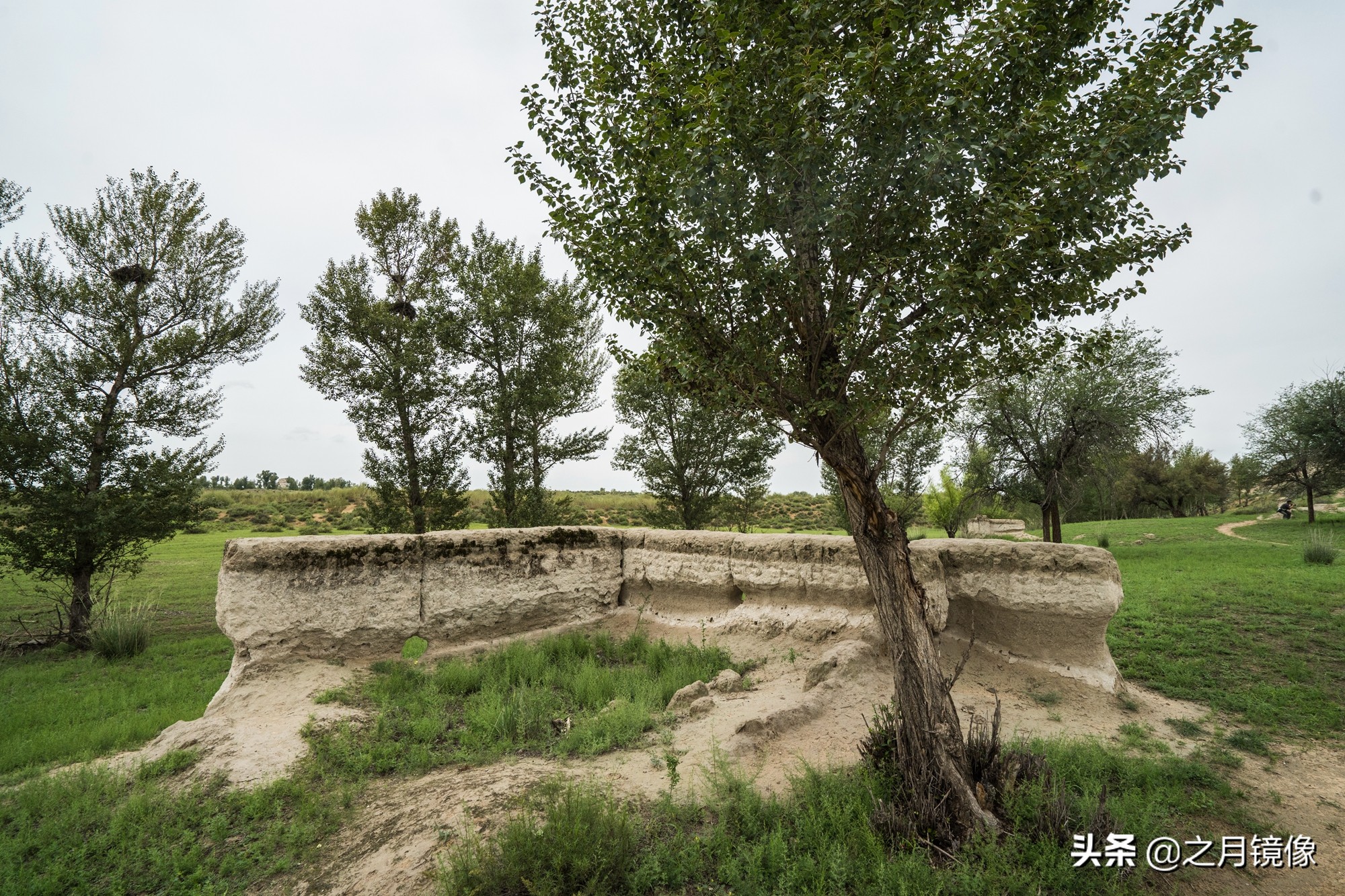 闈栬竟澶ф紶,闈栬竟澶ф紶椋庡厜