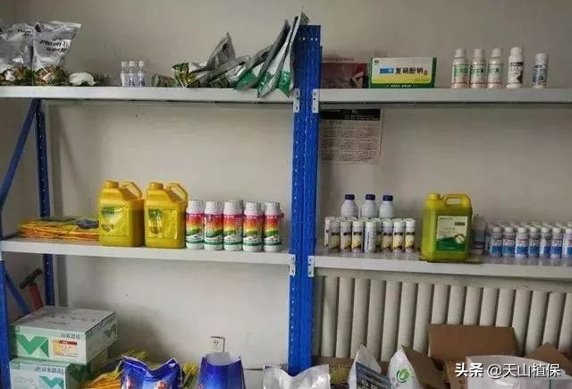 今年棉花用什么除草剂合适,棉花除草剂品种